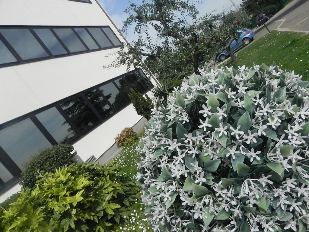 Hotel Il Maglio Imola Exterior foto