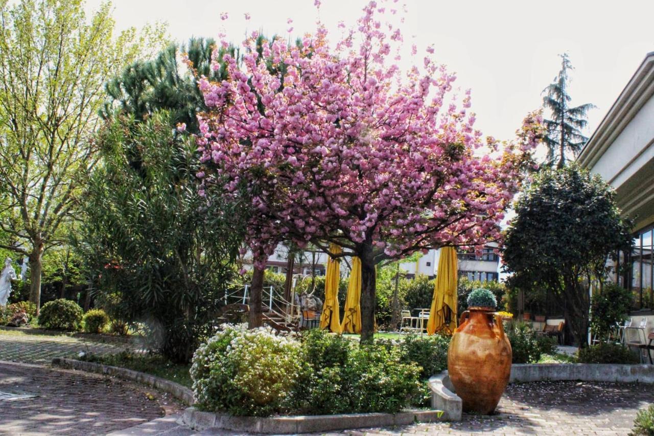 Hotel Il Maglio Imola Exterior foto